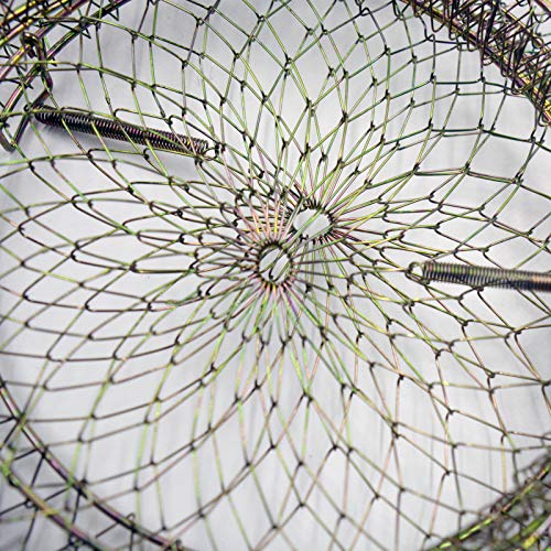 Metal Rustproof Collapsible Fish Basket - Robust and Easy to Use Net Cage for Live Fish