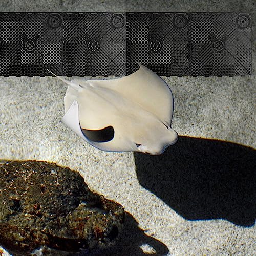 Baluue 20pcs Fish Tank Bottom, PVC Plate Splicing Aquarium Divider Bottom Grid Sand Gravel Board Splicing Combination Clapboard Bottom Grid
