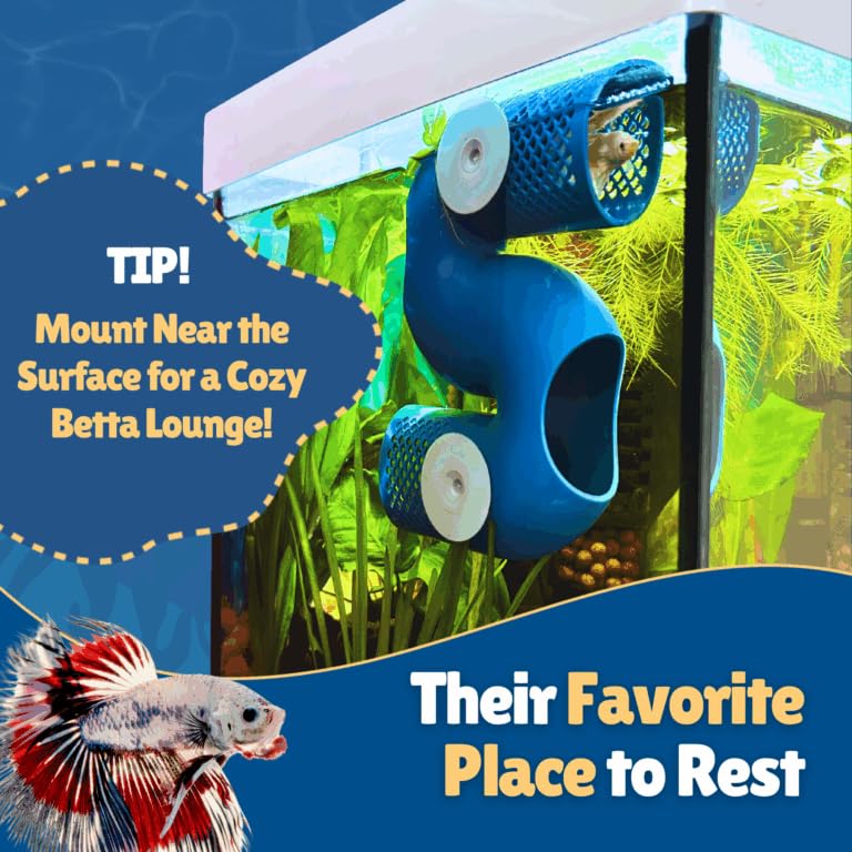 Betta Fish Tunnel Hideout | Aquarium Cave & Tunnel Decor for Betta Fish, Shrimp & Small Fish | Fish Tank Decoration, Betta Tank Accessory & Enrichment Toy (Green) - color: Green