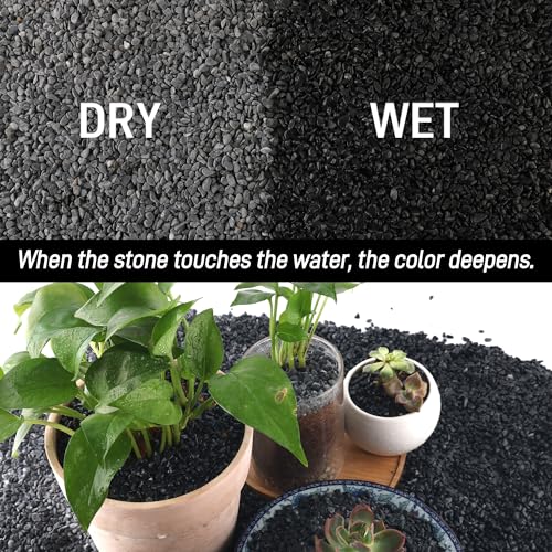 45lb Black Cactus Pea Gravel Rocks,1/4 Inch Pebbles for Indoor Plants, Natural Succulent Rock and River Rocks Decorative for Aquariums, Vases, Outdoor Gardening, Top Dressing for Potted Plants - color: Black Galaxy, size: 45LB