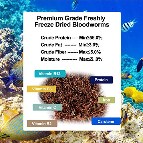 Amzey Blood Worms 0.5 oz -100% Natural Freeze Dried Blood Worms - Aquarium High Protein Food for Betta Fish, Goldfish, Cichlid, Guppy, Discus, Turtle - size: 0.5 Ounce (Pack of 1)