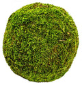 SuperMoss (21663) Moss Ball, Fresh Green, 8" - color: Fresh Green, size: 8"