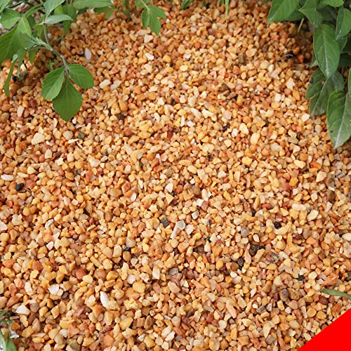 18lb Cactus Pea Gravel Rocks,1/5 Inch Pebbles for Indoor Plants, Natural Succulent Rock and River Rocks Decorative for Aquariums, Vases, Terrarium, Outdoor Gardening, Top Dressing for Potted Plants - color: Mixed Colorful, size: 18LB