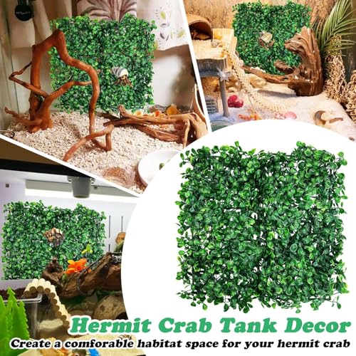 PINVNBY 2 PCS Hermit Crab Climbing Toys Hermit Crab Climbing Wall with Suction Cups Plastic Faux Grass Mat Hermit Crab Accessories for Hermit Crab Tank Decor (24 x 16 Inch)