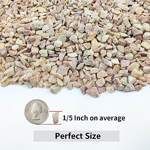 YISZM 10LB Succulent and Cactus Gravel Pebbles, 1/5 Inch Natural Decorative Polished Stones, River Rocks for Plants, Vases, Aquariums, Terrarium and Outdoor Gardening,Peach - color: Peach, size: 10 Pounds