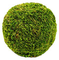 SuperMoss (21648) Moss Ball, Fresh Green, 4" - color: Fresh Green, size: 4"