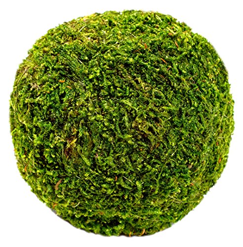SuperMoss (21648) Moss Ball, Fresh Green, 4" - color: Fresh Green, size: 4"