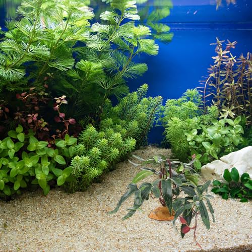 FOMIYES Simulated Plant Ornament Resin Reptile Case Decoration Green Artificial Aquarium Accessory for Terrarium Habitat Supplies