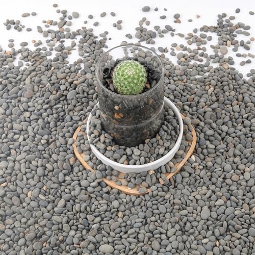 7lb Aquarium Gravel for Plants, Decorative River Rocks Pebbles for Succulents Cactus Outdoor Garden Landscaping, Plant Rocks Natural Small Drainage Rocks Gravel for Fish Tank Vases Terrarium - color: Black-Small, size: 7lb