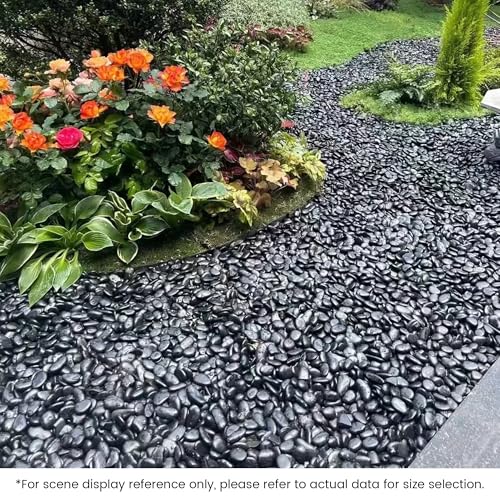 SIDONG 10 LB Black River Rocks, 0.3-0.5 Inches High Polished Pebbles for Indoor Plants, Aquarium Rocks Used in Fish Tank, Decorative Stones for Plants, Vases, Home Décor, Crafting, Garden Landscaping - color: Black, size: 10 Pounds