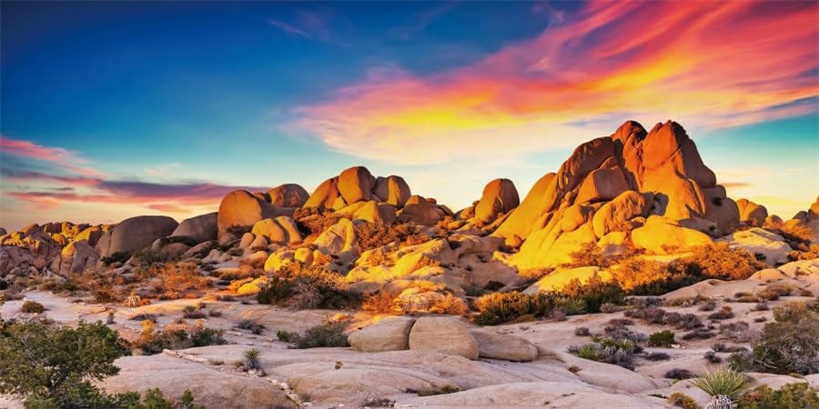 YongFoto Reptile Terrarium Background 30x18 inch Desert Rocky Bush Thorns Western Wilderness Reptile Habitat Background Bearded Dragon Fish Tank Aquarium Polyester Backdrop - color: Orange-1, size: 30 x 18 in