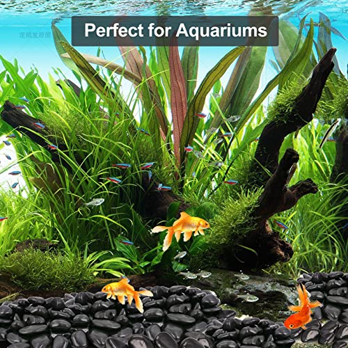 20Ib Black River Rocks for Landscaping-Polished Pebbles for Plants-Garden Decorative Stones-1-2 Large Plant Rocks,Ideal for Aquarium, Home Decor - style: 20LB, Polished Black