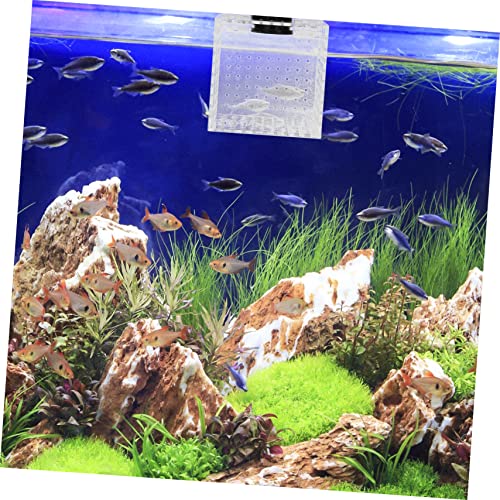 BESPORTBLE 1pc Fish Isolation Box Magnet Easy Installation Fish Hatching Container Water for Smooth for Breeding and Acclimation