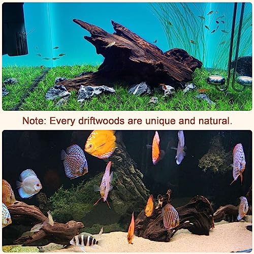 Natural Driftwood for Aquarium Decor, 2 Pieces 9-14" Large Assorted Branch Decorations for Reptile Hide, Fish Tank