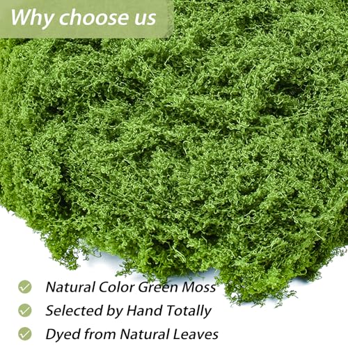 Fake Green Moss for Crafts 3.5 Oz Decorative Artificial Moss for Crafts Decorative Faux Moss Table Centerpieces Wedding Party Decor Fairy Garden Floral DIY - color: 3.5oz
