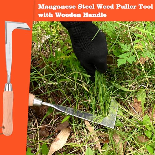 BokingOne 3-Sided Crevice Weeder - 12.6" Stainless Steel Garden Weeding Tool with Beech Handle, L-Shaped Crevice Weeder Sickle for Garden Lawn, Yard Patio Terrace, Paving Gaps - color: 3-Sided silvery