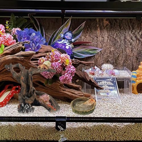 Rainmae Resin Hermit Crab Toy, 4.1 x 2.2 x 4.7 inches, Climbing and Hide Cave, Natural Tree Trunk Ornament for Small Animals, Gecko, Reptile, Lizard, Turtle, Frog, Chinchilla, Ferret