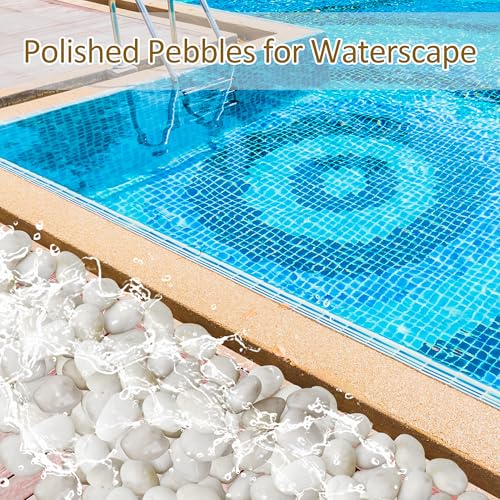 Sunnyglade 5LBS White River Rocks, 2-3 Inch Natural Pebbles for Indoor Plants, High Polished Decorative Stones Vase Filler Fish Tank Aquariums Landscaping Garden Outdoor and Indoor DIY (5 Pounds) - size: 5 Pounds