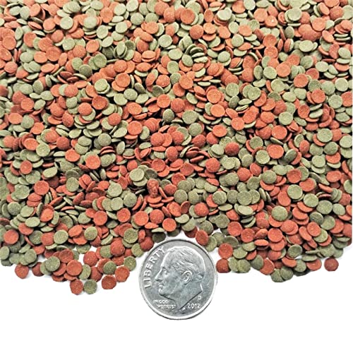 3.5mm - 1/8" Micro Wafer Mix of Spirulina Algae & Intense Color Enhancing Sinking Micro Wafers for Catfish, Plecos, Bottom Fish, Shrimp, Crabs, All Tropical Fish..11oz Small Jar - size: 11 Ounce (Pack of 1)