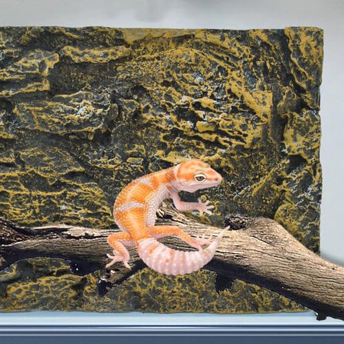 Reptile Tank Background Board Rock Terrarium Cork Background Board 3D Wall Backdrop Aquarium DéCor Backgrounds Amphibian Habitat Decoration for Lizards Leopard Gecko Bearded Dragons Turtle