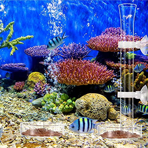 Chengu 3 Pieces Shrimp Feeding Tube and Dish Set, 8 Inch Glass Shrimp Feeder Tube and 2 Aquarium Dish Bowl Fish Tank Feeding Supplies for Fish Tank Aquarium - size: 8" + 2 Tray