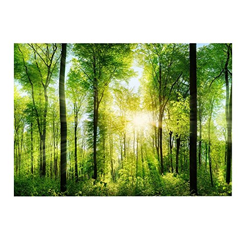 3D Effect Adhesive Forest Poster for Aquarium Fish Tank Decoration - Poster for Aquarium Poster for Fish Tank Easy Peel and Stick (61 * 41cm) - size: 61*41cm
