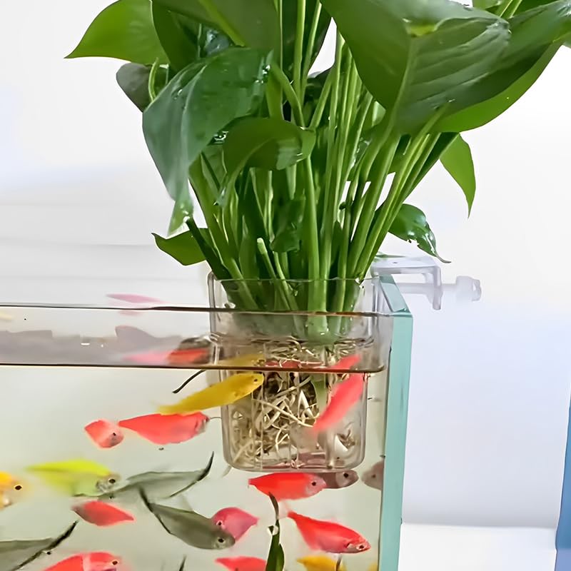 4PCS Clear Acrylic Aquarium Plant Holder Hanging Cups for Aquatic Plants Fish Tank
