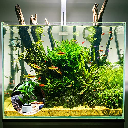 6 PCS Anti-Floating Ceramic Aquarium Plant Rings, Aquatic Plants Fixed Rings, Aquarium Landscape Ceramic Plant Fixing Aquarium Plant Weights Pot Fish Tank Accessories