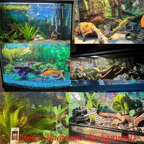Underwater Scene Aquarium Background Vibrant Coral Reef Marine Life Sunken Pirate Ship Fish Tank Background Stunning Ocean Bed Underwater Rock Submerged Structure Seascape Reptile Backgrounds 24x12in - color: Light Blue_Orange, size: 24(W)x12(H)in