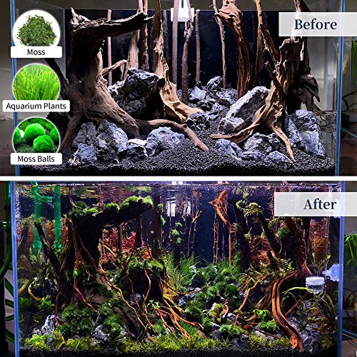 majoywoo Natural Large Driftwood for Aquarium Decor Reptile Decor 13-17" Long, Over 1.3 lbs - size: Mopani Driftwood 13 to 17 Inch (Pack of 1)