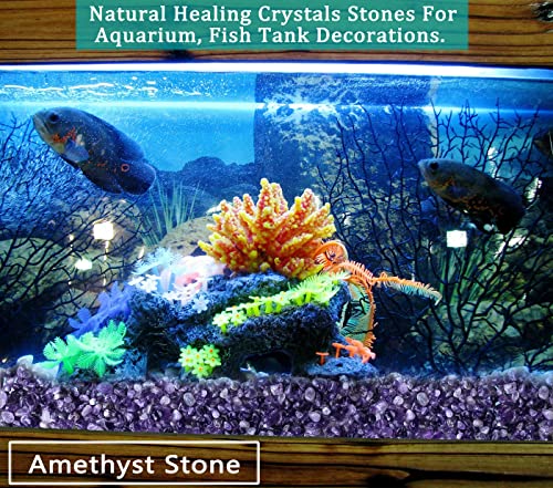 MAIBAOTA Natural Amethyst Crystal Quartz Rocks Chips Vase Filler Rocks for Succulent Plant Small Fish Tank Aquarium Gravel Decorative Pebbles Stones(200 gram) - color: Purple-amethyst, size: 0.45 Pound