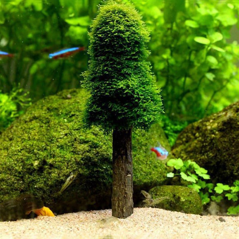 Aquatic Moss Holder Aquarium for Tank Live Grass Bracket Fish for Tank Decor Accessories 5.1in Aquarium Holder Decoration