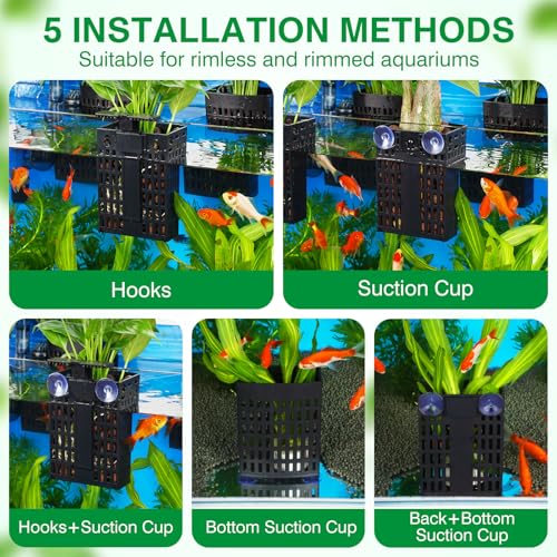 2026 Latest Upgraded Aquarium Plant Holder Adjustable Height with Extendable Hook and Suction Cup for Fish Tank Aquaponic Plant Cultivation and Aquascape Accessories Decorations (4 Pack) - color: Black-4 Pack