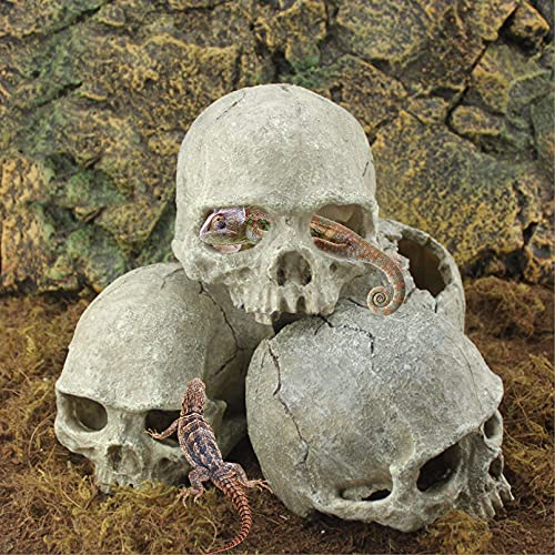 Tfwadmx Aquarium Skull Decor, Resin Fish Tank Decorations Aquarium Shrimp Cave Betta Fish Hiedout Reptile House for Small Fish,Shrimp