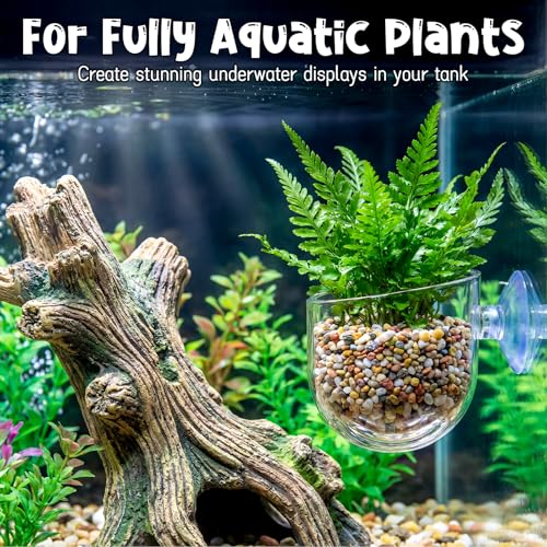 Gjinxi Aquarium Plant Holder, 2 Pcs Fish Tank Plant Pot, Clear Acrylic Aquatic Plant Cup, Red Worm Fish Shrimp Feeder, Aquarium Planter Cup with Suction Cup for Home Fish Tank Aquascape Decor