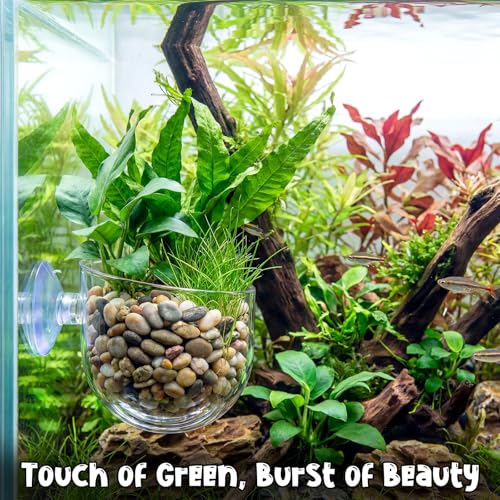 Gjinxi Aquarium Plant Holder, 2 Pcs Fish Tank Plant Pot, Clear Acrylic Aquatic Plant Cup, Red Worm Fish Shrimp Feeder, Aquarium Planter Cup with Suction Cup for Home Fish Tank Aquascape Decor