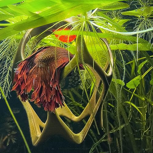 Betta Play Ground | Floating Hammock and Hiding Cave for Betta, Fish, Shrimp with Feeding Station – Swim-Through Aquarium Ornament and Tank Decoration (Baby Blue, Regular)