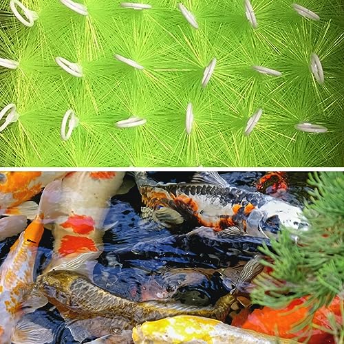 50 Packs Filter Brushes Aquarium Brushes Set for Koi Pond Water Garden Outdoor Pond Skimmers Brush Filter Cleaning Brush 31.5 Inch by 4.7 Inch (Green) - size: 31.5 in L
