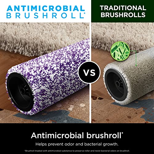 Shark HydroVac Antimicrobial Brushroll* & 2-Pack Filter Bundle, Compatible with All Hydrovac 3-in-1 Multi-Surface Cleaners for All Sealed Hard Floors and Area Rugs, Purple/White, WDB1F2