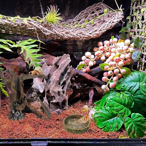 Rainmae Resin Hermit Crab Toy, 4.1 x 2.2 x 4.7 inches, Climbing and Hide Cave, Natural Tree Trunk Ornament for Small Animals, Gecko, Reptile, Lizard, Turtle, Frog, Chinchilla, Ferret