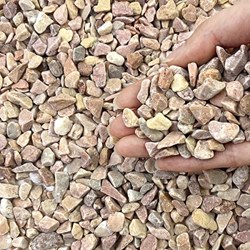 FANTIAN 2 lbs Pea Gravel - 3/8 Inch Small Pebbles Rocks for Indoor Plants, Succulents, Cactus, Fish Tank, Terrarium, Landscaping and Decorative Stones(32 oz, 6-9 mm) - color: Peach Gravel