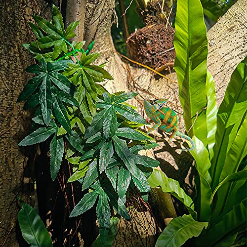 Nobranded Reptile Plants,2 Pieces Hanging Silk Terrarium Plant with Suction Cup for Bearded Dragons Lizards Geckos Snake Pets Tank Habitat Decorations for Reptile Terrariums Pet Supply (Green)