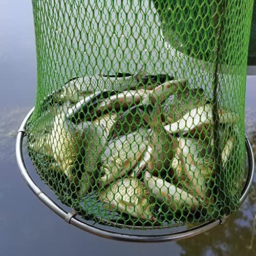 Collapsible Fish Keeping Net - Rubberized Mesh Fishing Basket - Foldable Fish Live Well for Dock & Kayak - Keep Bait and Fish Alive