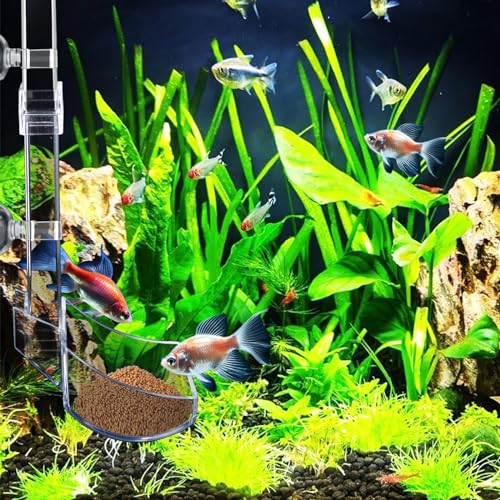 Shrimp Feeder Tube and Dish Set - Aquarium Fish Feeder with Feeding Ring and Cleaning Brush - Prevent Food Scattering