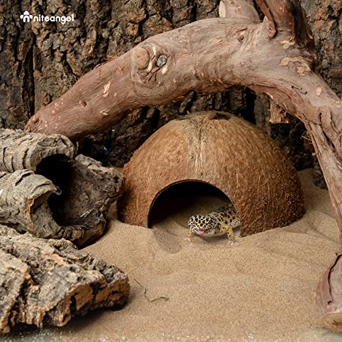 2 Pack Natural Coconut Reptile Hideouts, Lizard, Spider and Aquarium Fish Hide Cave (Natural Surface) - color: Natural Surface