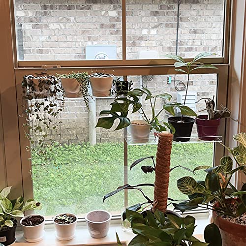 2 Pack Suction Cup Window Shelf for Plants 16 Inches, Clear Acrylic Indoor Plant Shelf Window Ledge Garden Sill Extender for Micro Greens, Seed Starter Pots, Herb Planters - size: 16 Inch- 2 Pack
