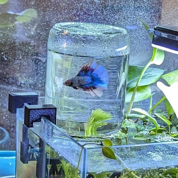 Inverted Betta Tank Holder Kit, 360-Degree Panoramic View for Betta Fish, Expands Swimming Space, Aquarium Inverted Holder, Made in Canada (Black, Small) - size: Small Kit