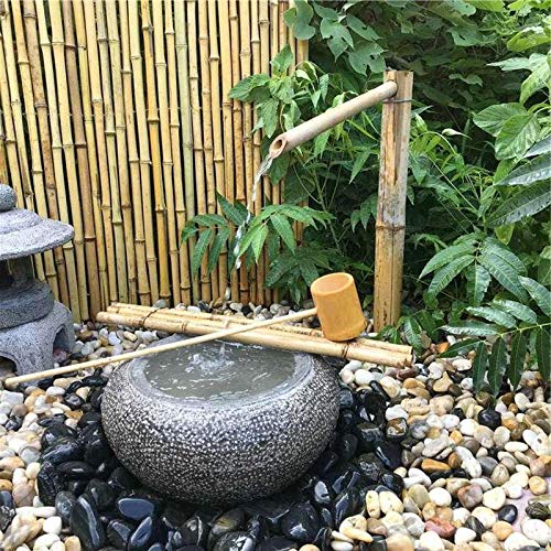 3 lb River Rocks for Succulent Plants,Decorative Rocks Bonsai Garden Pebbles,Aquarium Rocks Garden Landscaping Stones for Fish Tank,Plants, Vase Fillers (Multicolor, 3 lb)