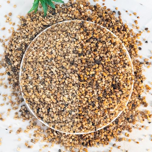 2 lbs Aquarium Gravel, 2-4mm Fish Tank Gravel, Succulent Cactus Pea Gravel for Indoor Plants, River Rocks for Gardening, Flower Pots, Vase Fillers, Garden Landscaping - size: 2-4mm