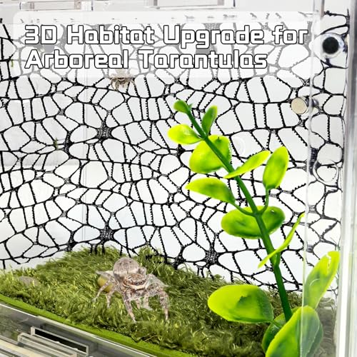 Hamiledyi Jumping Spider Enclosure Accessories 20 x 12'' Climbing Net Magnetic Spider Web Mesh Mantis Enclosure Net Tarantula Terrarium Habitat Decor (White+Black) - color: White+Black